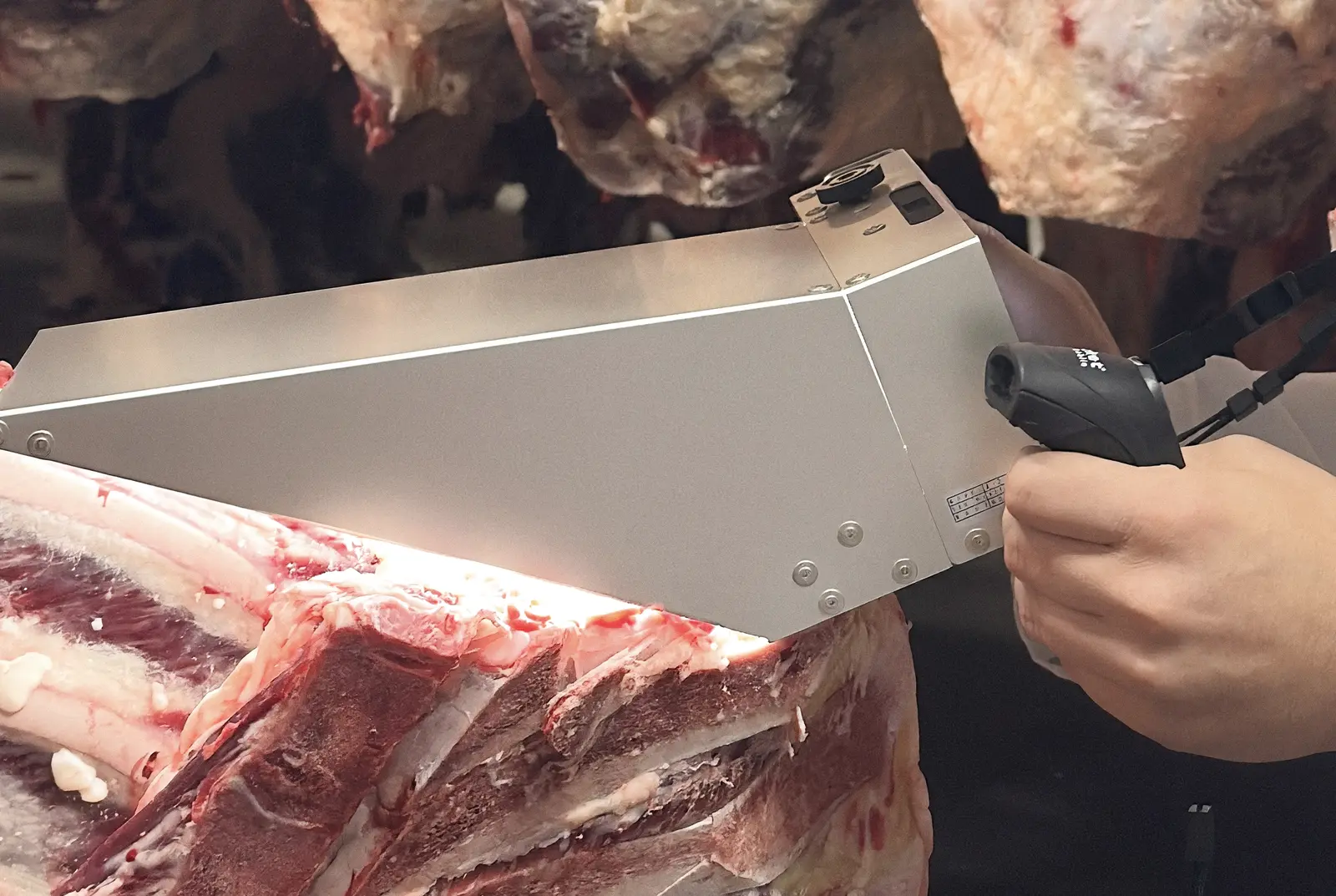 Karkassenkamera wird am Anschnitt eines hängenden Rinderkörpers geführt
