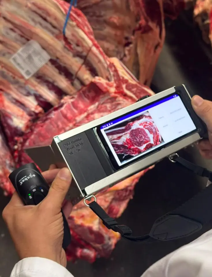 Die MIJ-Mobile-Kamera wird am Anschnitt eines hängenden Rinderkörpers angesetzt, auf dem Display erscheint das Ribeye