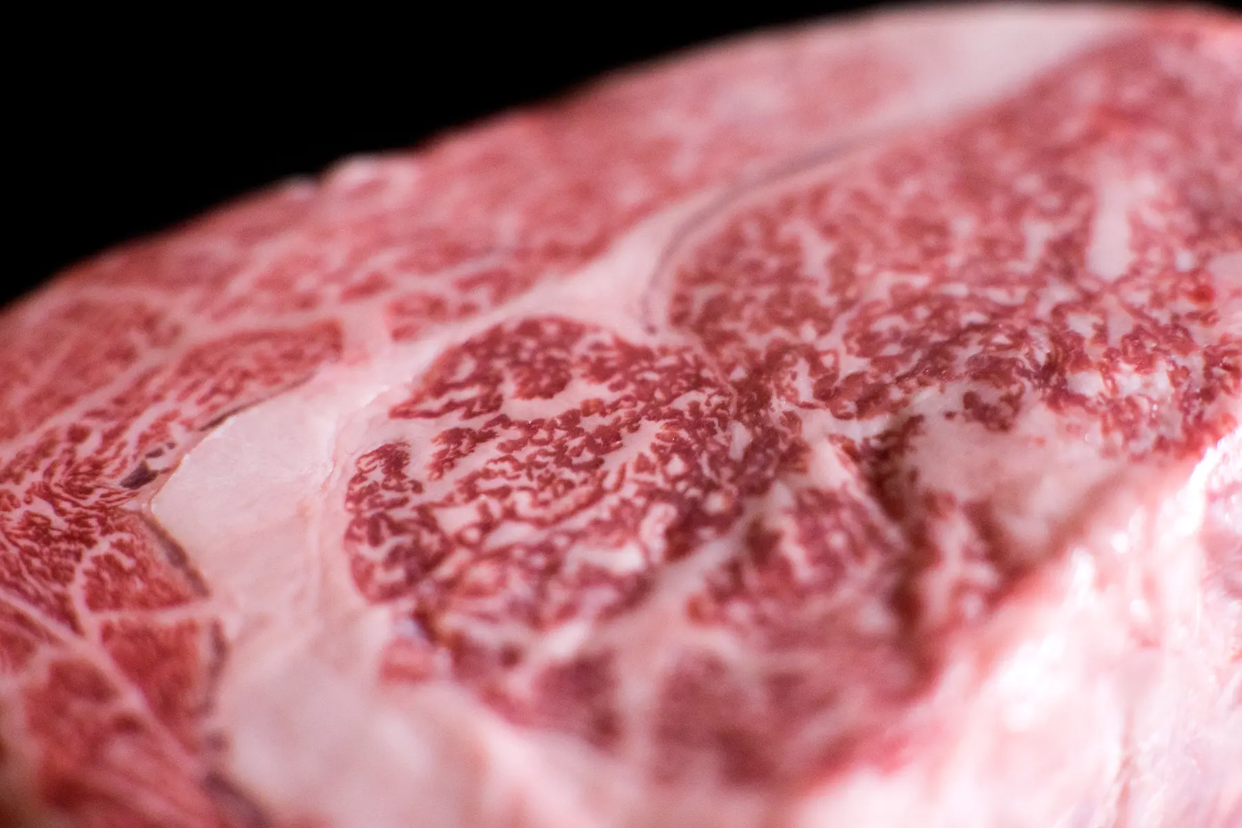 Nahaufnahme eines rohen Wagyu-Anschnitts: ein feines, dichtes Netz aus Fett zieht sich durch den Muskel.