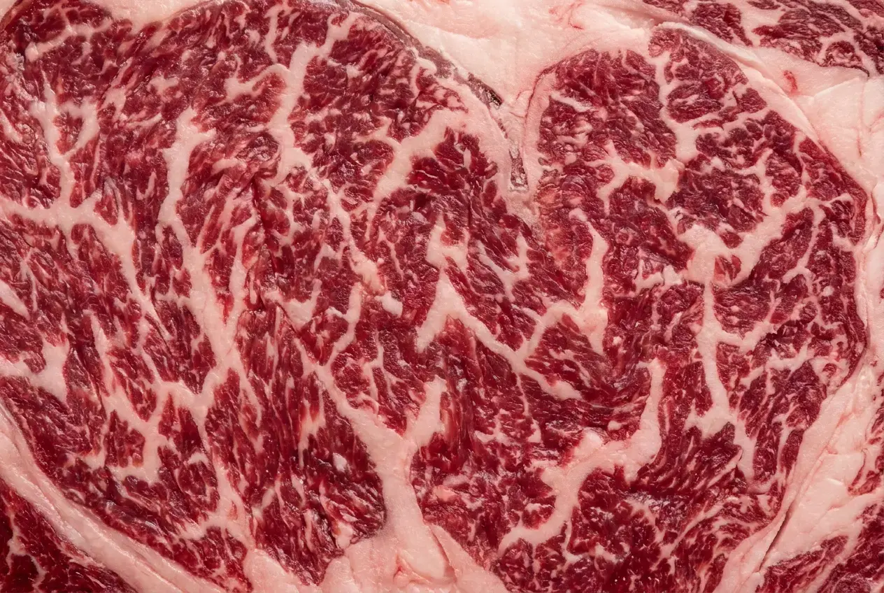 Wagyu Fettgehalt: Was IMF und Marmorierung bedeuten und welche Stufe zu dir passt